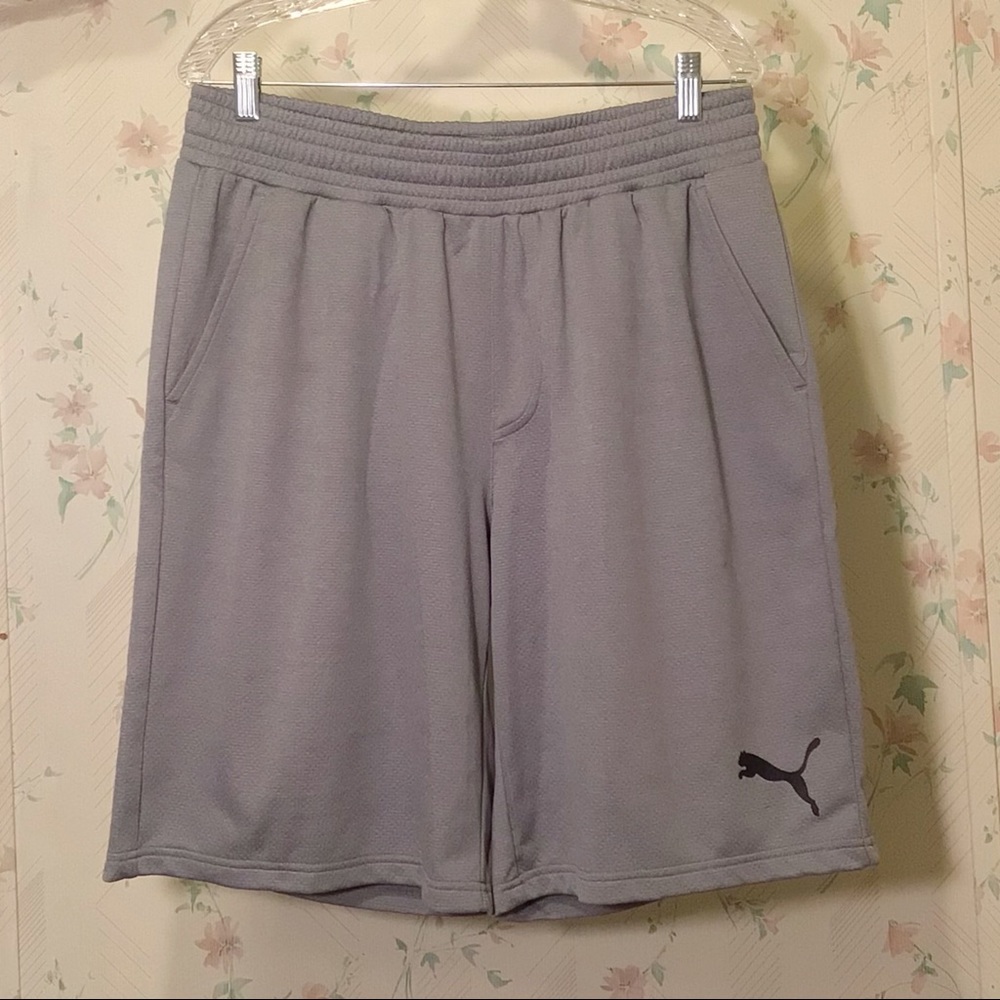 Puma Gray Shorts
